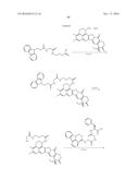 ANTI-HER2 ANTIBODY-DRUG CONJUGATE diagram and image