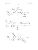 ANTI-HER2 ANTIBODY-DRUG CONJUGATE diagram and image