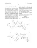 ANTI-HER2 ANTIBODY-DRUG CONJUGATE diagram and image