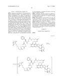 ANTI-HER2 ANTIBODY-DRUG CONJUGATE diagram and image