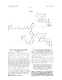 ANTI-HER2 ANTIBODY-DRUG CONJUGATE diagram and image