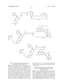 ANTI-HER2 ANTIBODY-DRUG CONJUGATE diagram and image