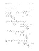 ANTI-HER2 ANTIBODY-DRUG CONJUGATE diagram and image