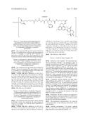 ANTI-HER2 ANTIBODY-DRUG CONJUGATE diagram and image