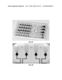 Microfluidic Cell Culture Systems diagram and image