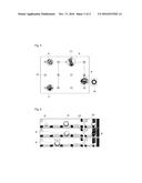 ELECTROPORATION DEVICE FOR TRANSFERRING MATERIAL INTO CELLS,     ELECTROPORATION APPARATUS COMPRISING SAME, AND ELECTROPORATION METHOD diagram and image