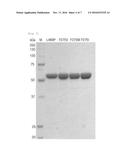 L-arabinose Isomerase Variants with Improved Conversion Activity and     Method for Production of D-tagatose Using them diagram and image