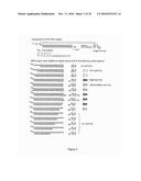 5  TRIPHOSPHATE OLIGONUCLEOTIDE WITH BLUNT END AND USES THEREOF diagram and image