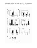 5  TRIPHOSPHATE OLIGONUCLEOTIDE WITH BLUNT END AND USES THEREOF diagram and image