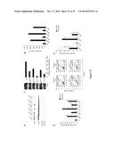 5  TRIPHOSPHATE OLIGONUCLEOTIDE WITH BLUNT END AND USES THEREOF diagram and image