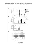 5  TRIPHOSPHATE OLIGONUCLEOTIDE WITH BLUNT END AND USES THEREOF diagram and image