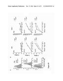 5  TRIPHOSPHATE OLIGONUCLEOTIDE WITH BLUNT END AND USES THEREOF diagram and image