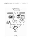 5  TRIPHOSPHATE OLIGONUCLEOTIDE WITH BLUNT END AND USES THEREOF diagram and image