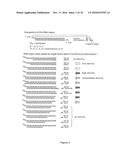 5  TRIPHOSPHATE OLIGONUCLEOTIDE WITH BLUNT END AND USES THEREOF diagram and image