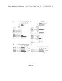 5  TRIPHOSPHATE OLIGONUCLEOTIDE WITH BLUNT END AND USES THEREOF diagram and image