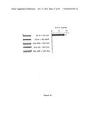 5  TRIPHOSPHATE OLIGONUCLEOTIDE WITH BLUNT END AND USES THEREOF diagram and image