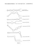 5  TRIPHOSPHATE OLIGONUCLEOTIDE WITH BLUNT END AND USES THEREOF diagram and image