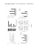 5  TRIPHOSPHATE OLIGONUCLEOTIDE WITH BLUNT END AND USES THEREOF diagram and image