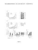 5  TRIPHOSPHATE OLIGONUCLEOTIDE WITH BLUNT END AND USES THEREOF diagram and image