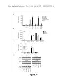 5  TRIPHOSPHATE OLIGONUCLEOTIDE WITH BLUNT END AND USES THEREOF diagram and image