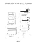 5  TRIPHOSPHATE OLIGONUCLEOTIDE WITH BLUNT END AND USES THEREOF diagram and image