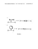 DNA VECTOR PRODUCTION SYSTEM diagram and image