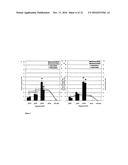 DNA VECTOR PRODUCTION SYSTEM diagram and image