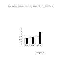 REGULATING ORINTHINE METABOLISM TO MANIPULATE THE HIGH MANNOSE GLYCOFORM     CONTENT OF RECOMBINANT PROTEINS diagram and image