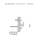 ANTI-NY-BR-1 POLYPEPTIDES, PROTEINS, AND CHIMERIC ANTIGEN RECEPTORS diagram and image