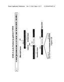 GENE DEFECTS AND MUTANT ALK KINASE IN HUMAN SOLID TUMORS diagram and image