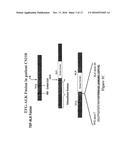 GENE DEFECTS AND MUTANT ALK KINASE IN HUMAN SOLID TUMORS diagram and image