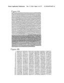 GENE DEFECTS AND MUTANT ALK KINASE IN HUMAN SOLID TUMORS diagram and image