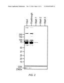 MICROPARTICLE FRACTIONATION diagram and image