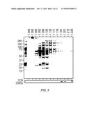 MICROPARTICLE FRACTIONATION diagram and image