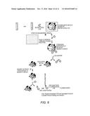 MICROPARTICLE FRACTIONATION diagram and image