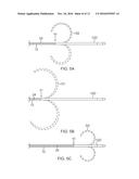 CATHETER WITH ADJUSTABLE DEFLECTION diagram and image