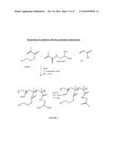 PARAMAGNETIC SUPPORTS FOR USE AS ASSAY REAGENTS diagram and image