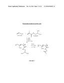 PARAMAGNETIC SUPPORTS FOR USE AS ASSAY REAGENTS diagram and image