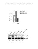 PEPTIDES DERIVED FROM GSE 24.2 FOR TREATING DISEASES CAUSED BY OXIDATIVE     STRESS AND DAMAGE TO DNA diagram and image