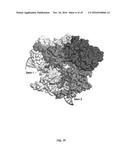 CRISPR-CAS SYSTEMS, CRYSTAL STRUCTURE AND USES THEREOF diagram and image