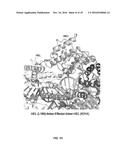 CRISPR-CAS SYSTEMS, CRYSTAL STRUCTURE AND USES THEREOF diagram and image