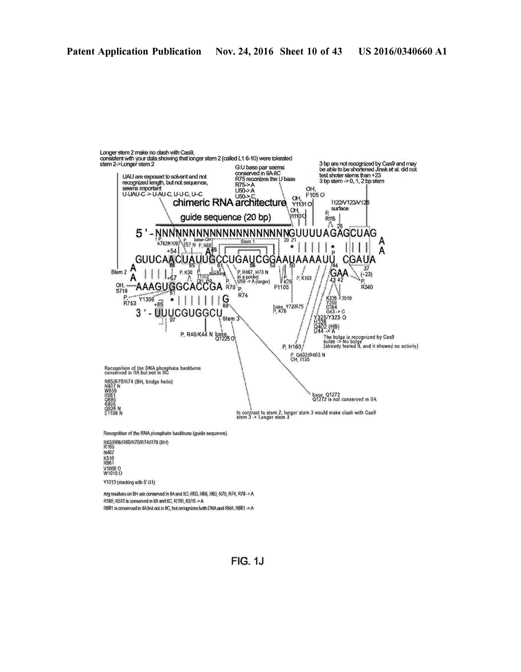 CRISPR-CAS SYSTEMS, CRYSTAL STRUCTURE AND USES THEREOF - diagram, schematic, and image 11