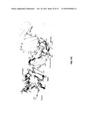 CRISPR-CAS SYSTEMS, CRYSTAL STRUCTURE AND USES THEREOF diagram and image