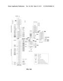 CRISPR-CAS SYSTEMS, CRYSTAL STRUCTURE AND USES THEREOF diagram and image