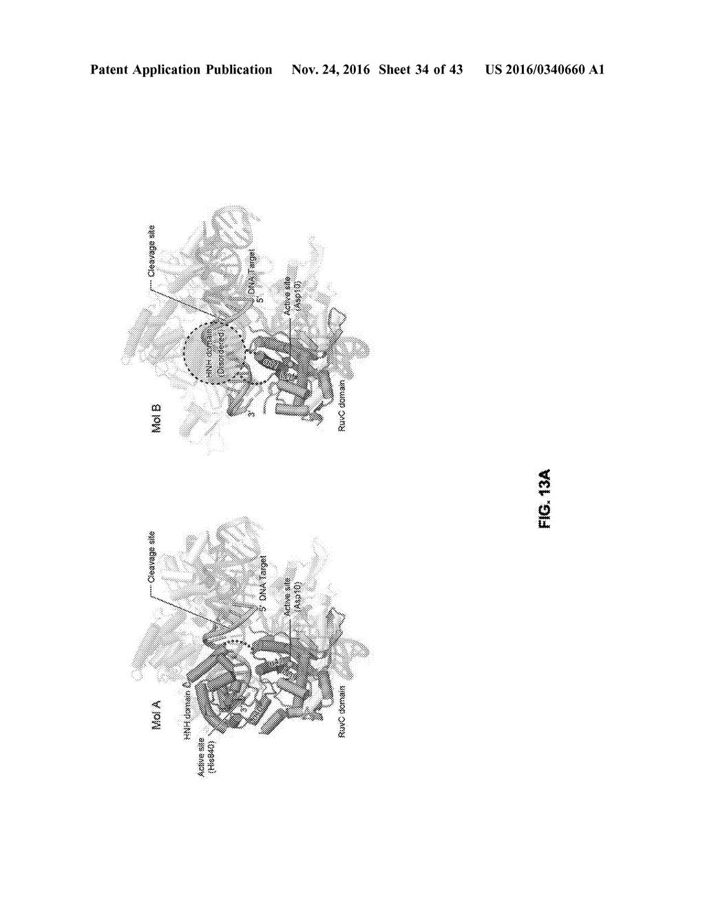 CRISPR-CAS SYSTEMS, CRYSTAL STRUCTURE AND USES THEREOF - diagram, schematic, and image 35