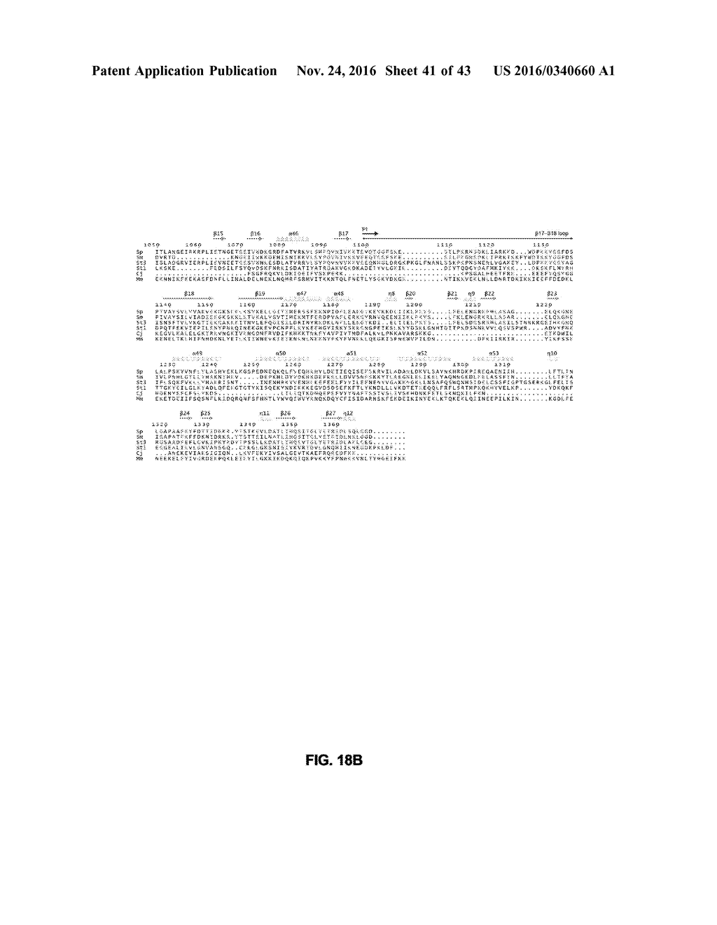 CRISPR-CAS SYSTEMS, CRYSTAL STRUCTURE AND USES THEREOF - diagram, schematic, and image 42