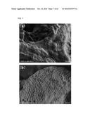 PROTECTIVE AGENT FOR ELECTRON MICROSCOPIC OBSERVATION OF BIOLOGICAL SAMPLE     IN WATER-CONTAINING STATE, KIT FOR ELECTRON MICROSCOPIC OBSERVATION,     METHODS FOR OBSERVATION, DIAGNOSIS, EVALUATION, AND QUANTIFICATION BY     ELECTRON MICROSCOPE, AND SAMPLE STAGE diagram and image