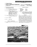 PROTECTIVE LAYERS FOR ELECTROCHEMICAL CELLS diagram and image