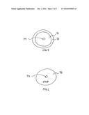 ELECTRODES POSSESSING CHANGE INDICATOR diagram and image