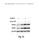 Histone Deacetylase 6 Selective Inhibitors for the Treatment of     Cisplatin-Induced Peripheral Neuropathy diagram and image